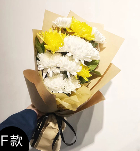 F款